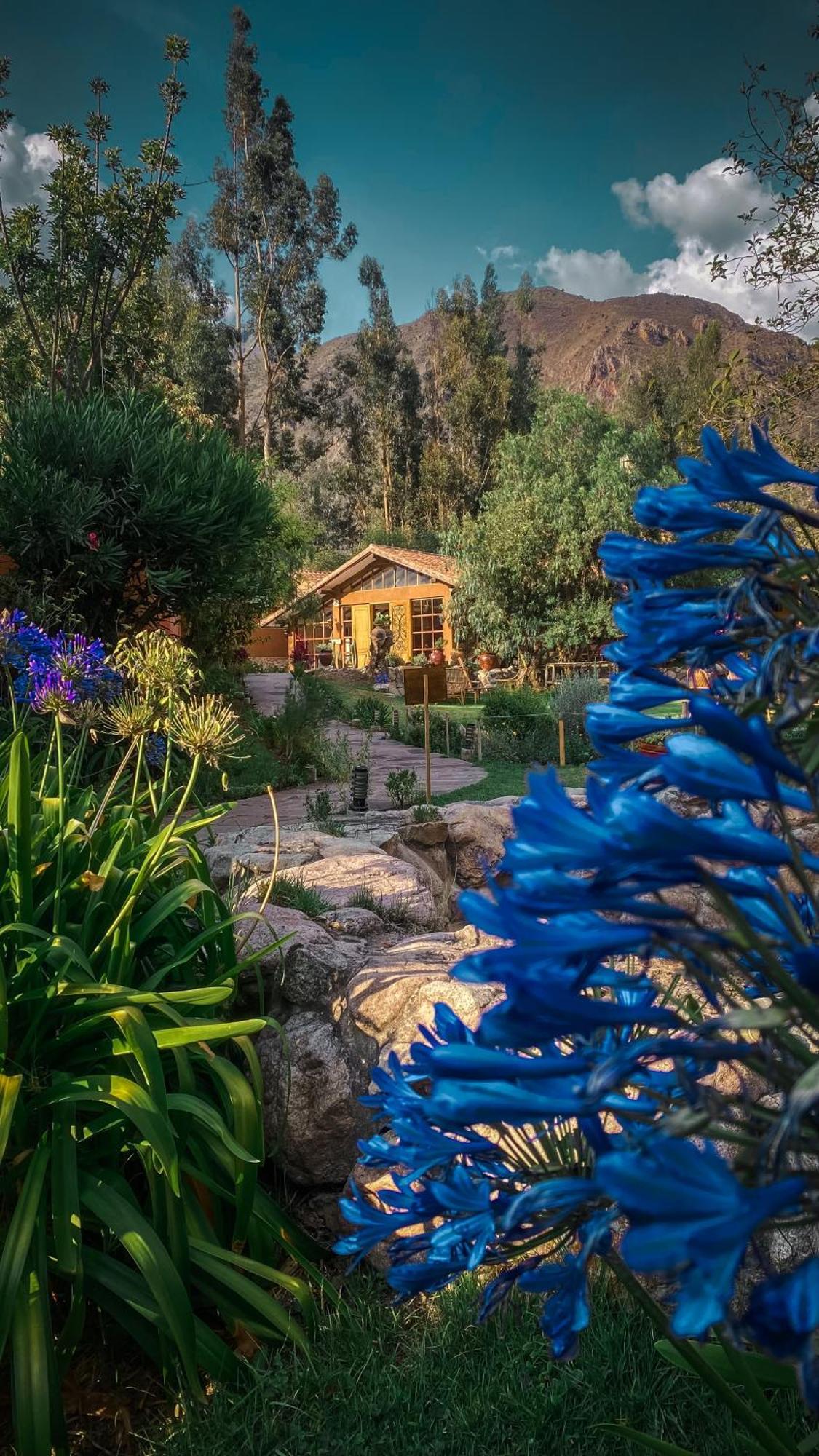 Andean Wings Valley Urubamba Exterior photo